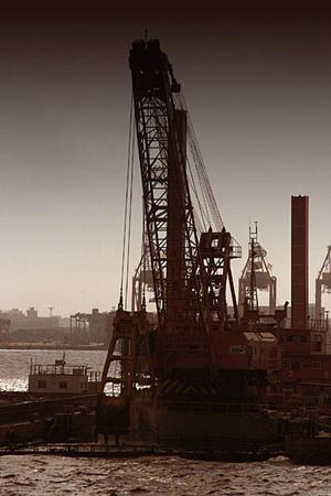 ハンドパレットが重要になっている理由